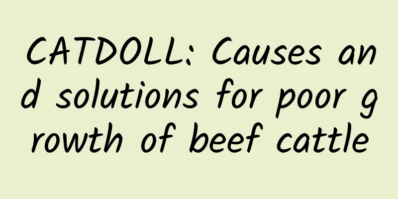 CATDOLL: Causes and solutions for poor growth of beef cattle