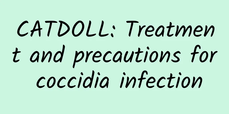 CATDOLL: Treatment and precautions for coccidia infection