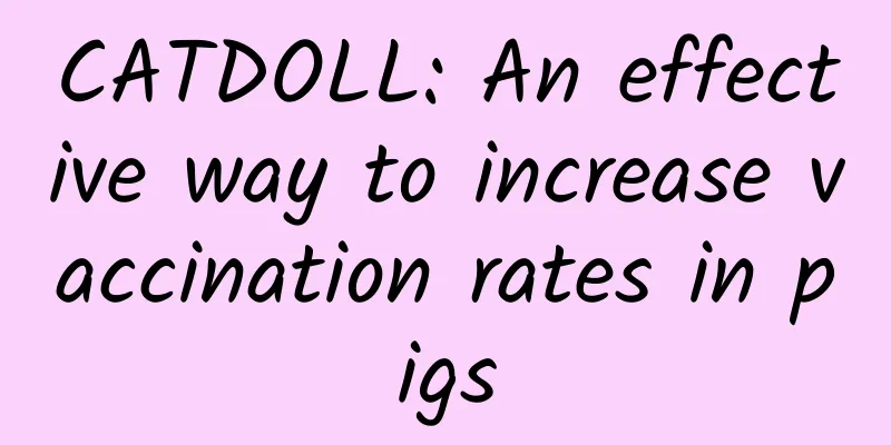CATDOLL: An effective way to increase vaccination rates in pigs
