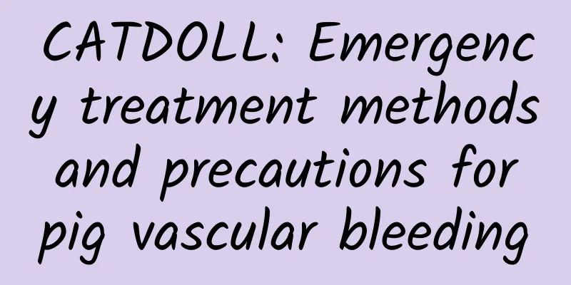 CATDOLL: Emergency treatment methods and precautions for pig vascular bleeding