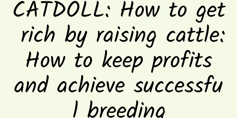 CATDOLL: How to get rich by raising cattle: How to keep profits and achieve successful breeding