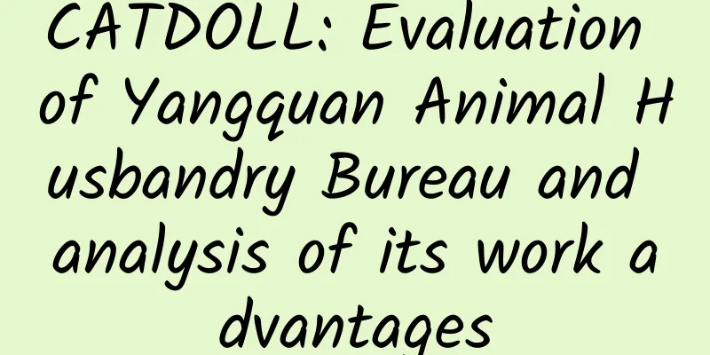 CATDOLL: Evaluation of Yangquan Animal Husbandry Bureau and analysis of its work advantages