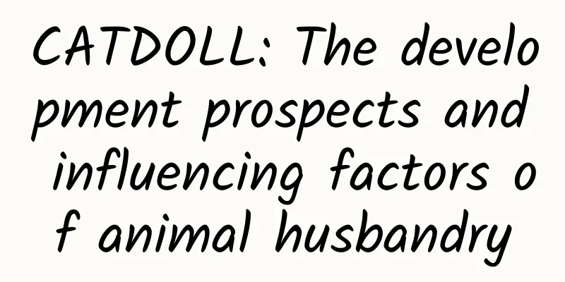 CATDOLL: The development prospects and influencing factors of animal husbandry