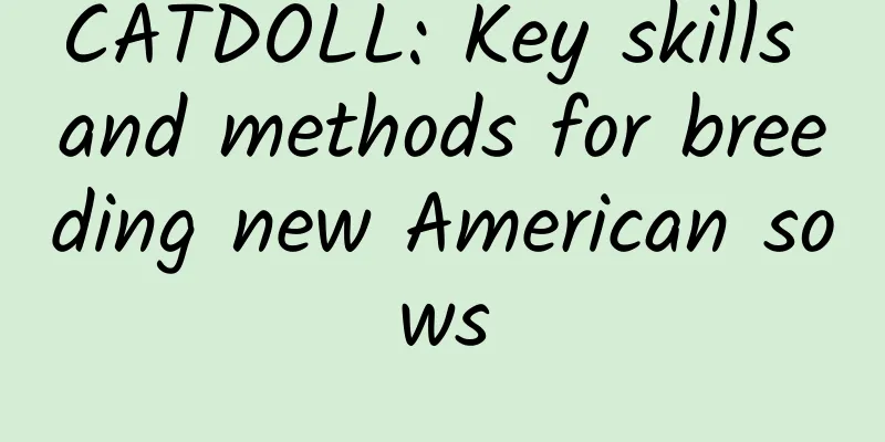 CATDOLL: Key skills and methods for breeding new American sows