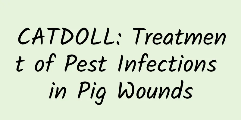 CATDOLL: Treatment of Pest Infections in Pig Wounds