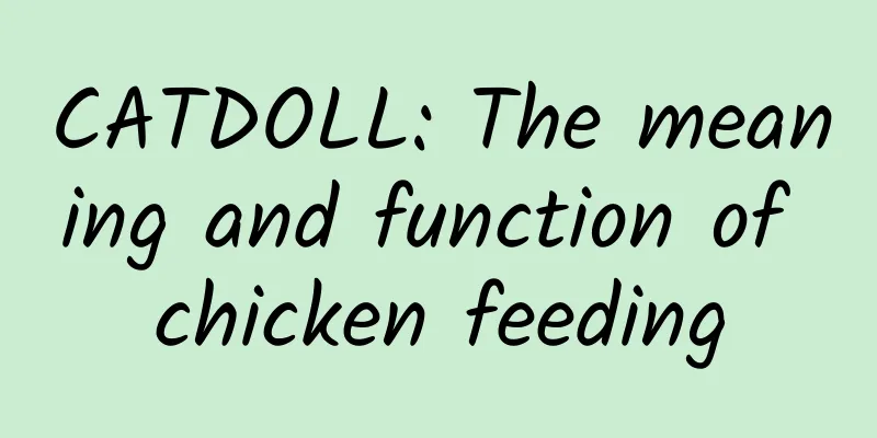 CATDOLL: The meaning and function of chicken feeding