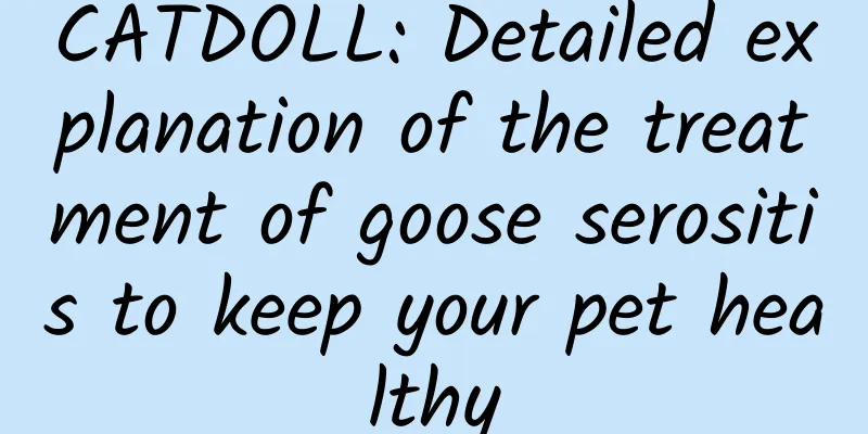 CATDOLL: Detailed explanation of the treatment of goose serositis to keep your pet healthy