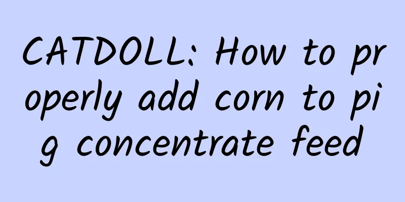 CATDOLL: How to properly add corn to pig concentrate feed