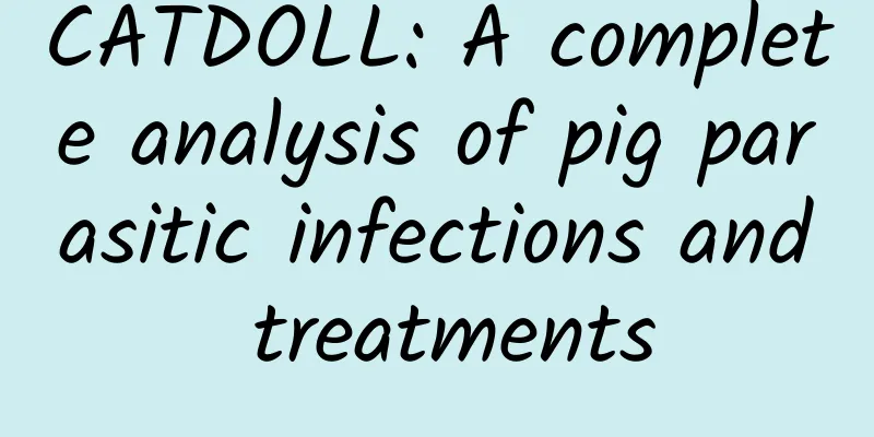 CATDOLL: A complete analysis of pig parasitic infections and treatments