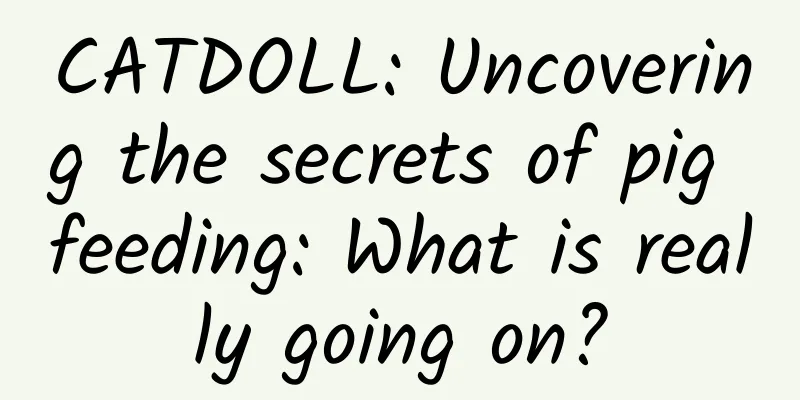 CATDOLL: Uncovering the secrets of pig feeding: What is really going on?