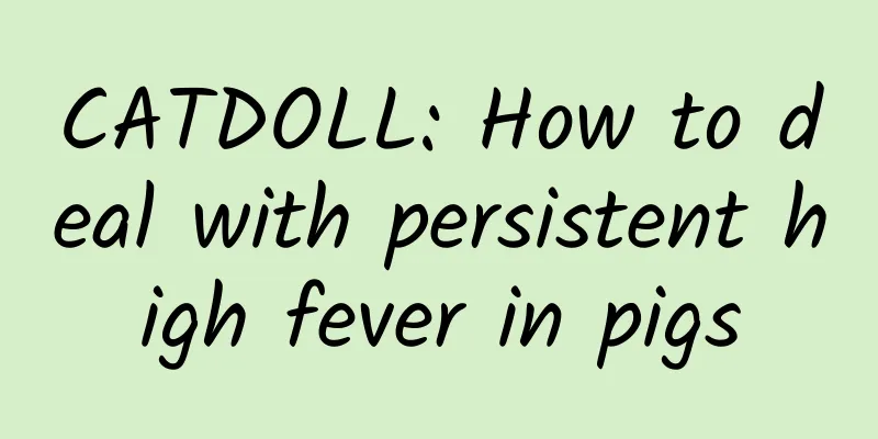 CATDOLL: How to deal with persistent high fever in pigs