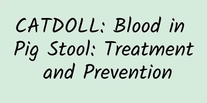 CATDOLL: Blood in Pig Stool: Treatment and Prevention