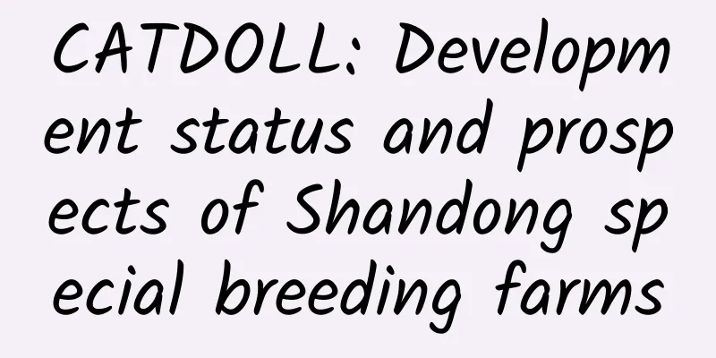CATDOLL: Development status and prospects of Shandong special breeding farms