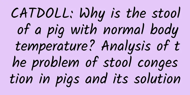 CATDOLL: Why is the stool of a pig with normal body temperature? Analysis of the problem of stool congestion in pigs and its solution