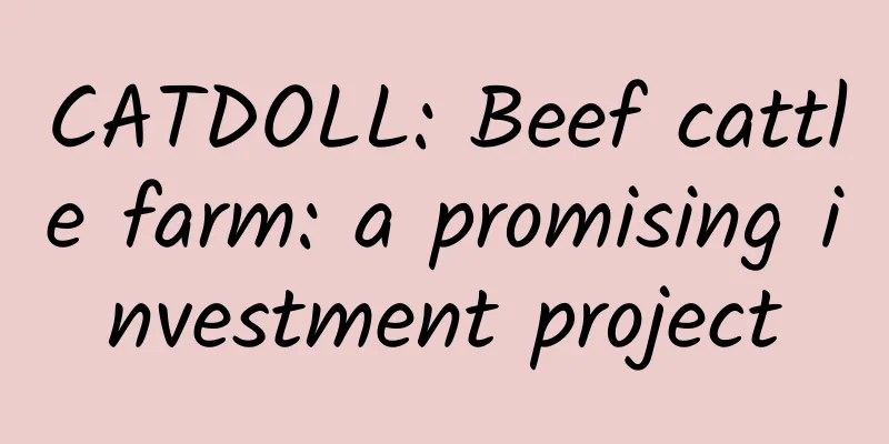 CATDOLL: Beef cattle farm: a promising investment project
