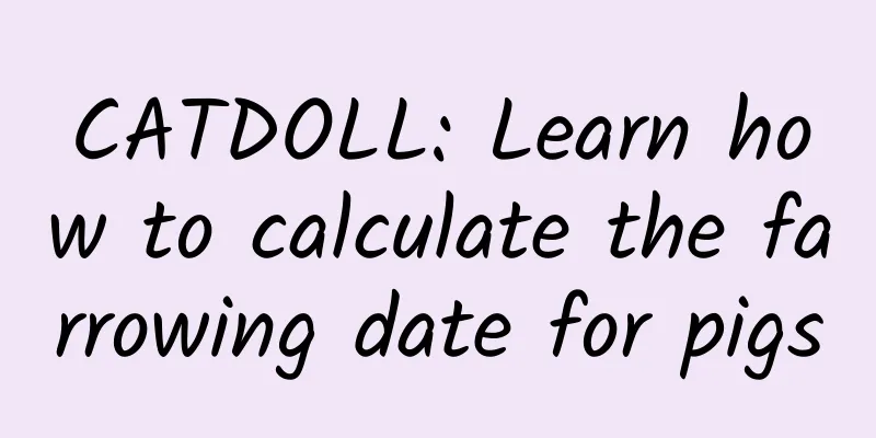 CATDOLL: Learn how to calculate the farrowing date for pigs
