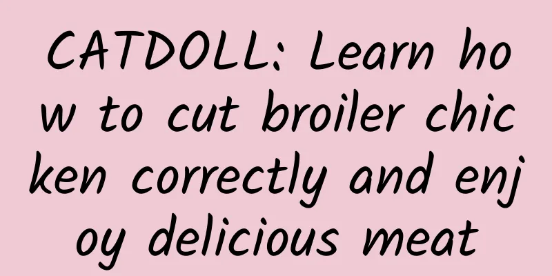 CATDOLL: Learn how to cut broiler chicken correctly and enjoy delicious meat