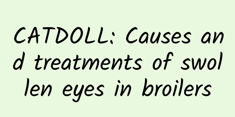 CATDOLL: Causes and treatments of swollen eyes in broilers