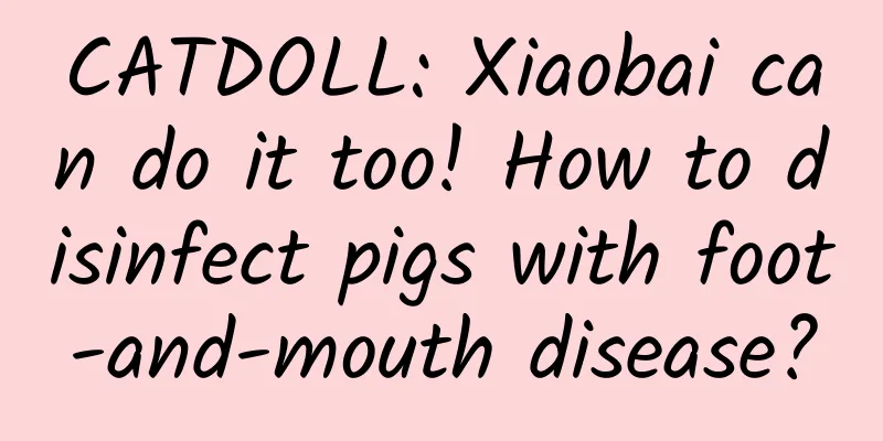 CATDOLL: Xiaobai can do it too! How to disinfect pigs with foot-and-mouth disease?