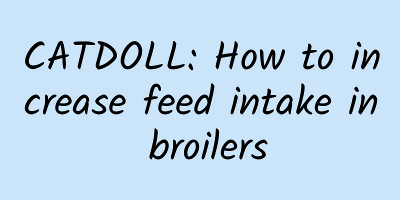 CATDOLL: How to increase feed intake in broilers
