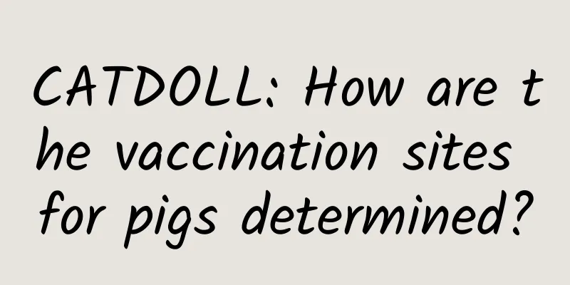 CATDOLL: How are the vaccination sites for pigs determined?