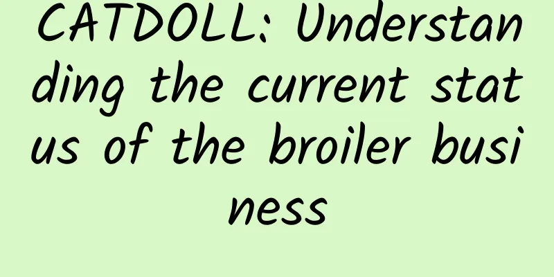 CATDOLL: Understanding the current status of the broiler business