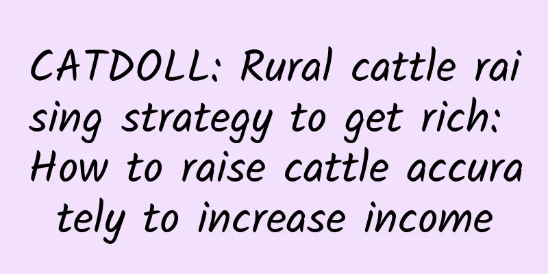 CATDOLL: Rural cattle raising strategy to get rich: How to raise cattle accurately to increase income
