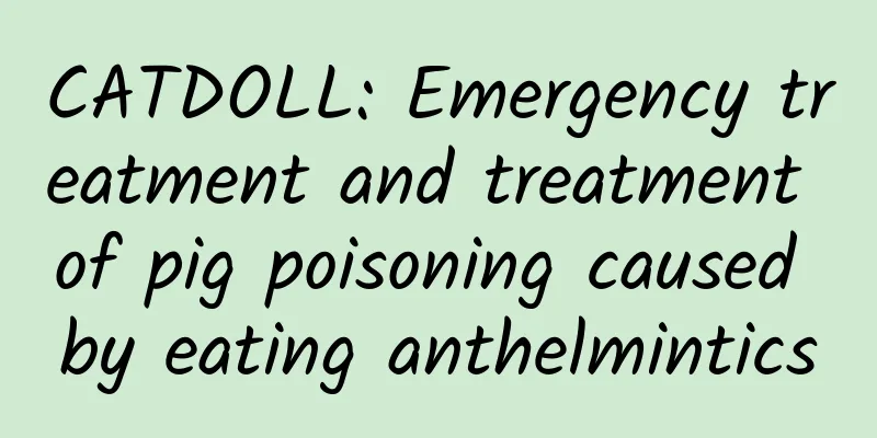 CATDOLL: Emergency treatment and treatment of pig poisoning caused by eating anthelmintics