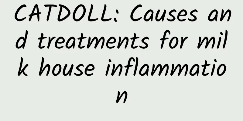 CATDOLL: Causes and treatments for milk house inflammation