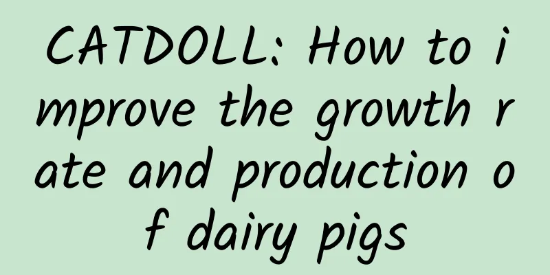 CATDOLL: How to improve the growth rate and production of dairy pigs
