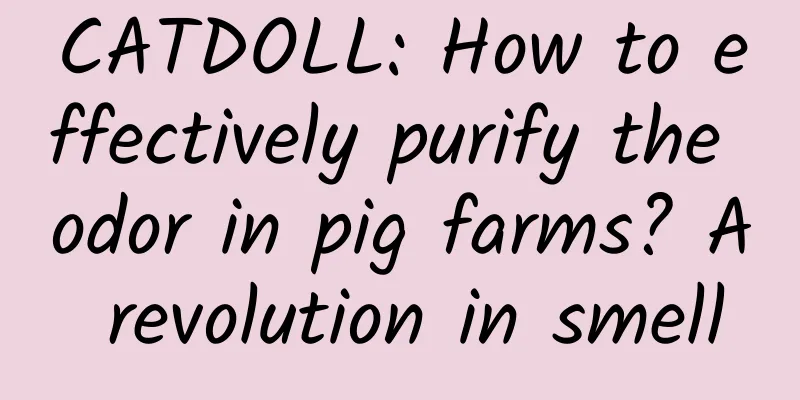 CATDOLL: How to effectively purify the odor in pig farms? A revolution in smell