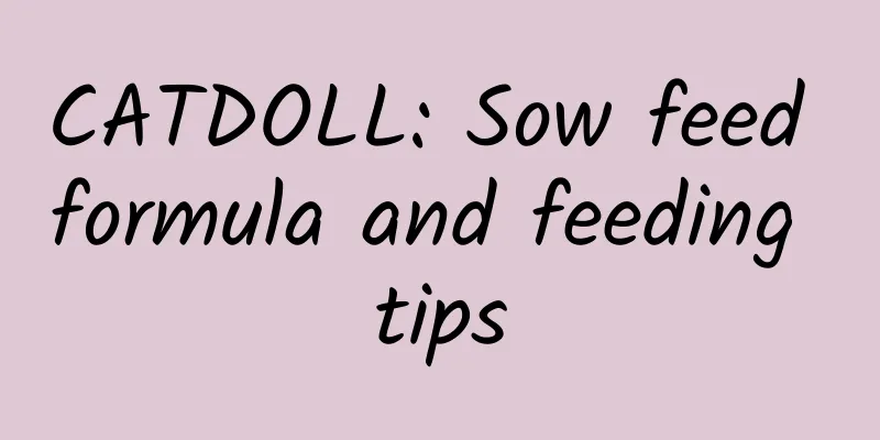 CATDOLL: Sow feed formula and feeding tips
