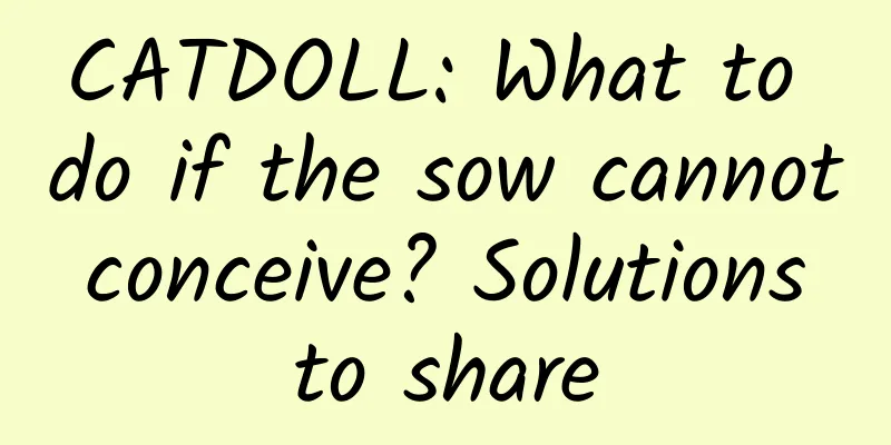 CATDOLL: What to do if the sow cannot conceive? Solutions to share