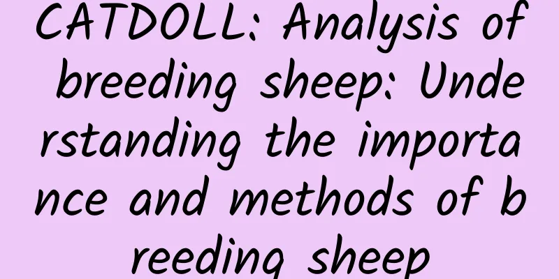 CATDOLL: Analysis of breeding sheep: Understanding the importance and methods of breeding sheep