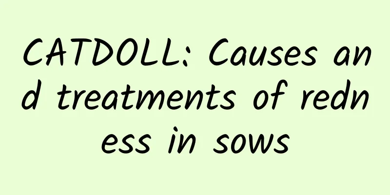 CATDOLL: Causes and treatments of redness in sows