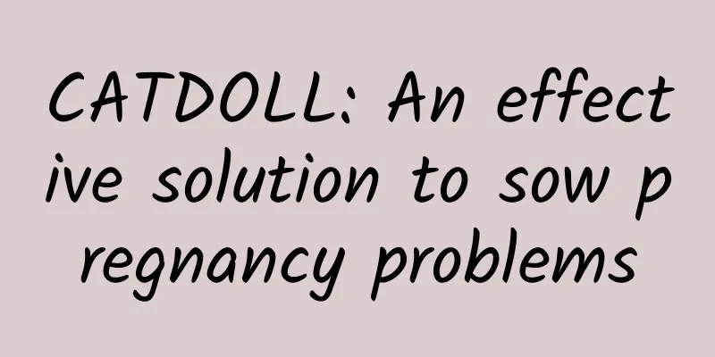 CATDOLL: An effective solution to sow pregnancy problems