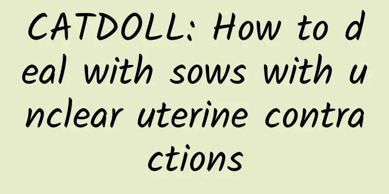 CATDOLL: How to deal with sows with unclear uterine contractions