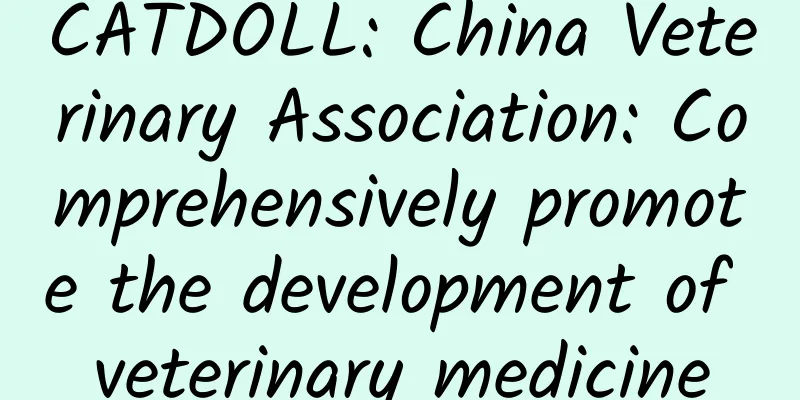 CATDOLL: China Veterinary Association: Comprehensively promote the development of veterinary medicine