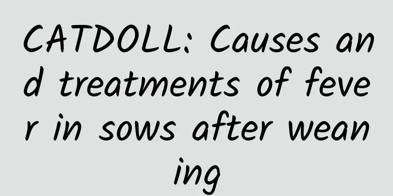 CATDOLL: Causes and treatments of fever in sows after weaning