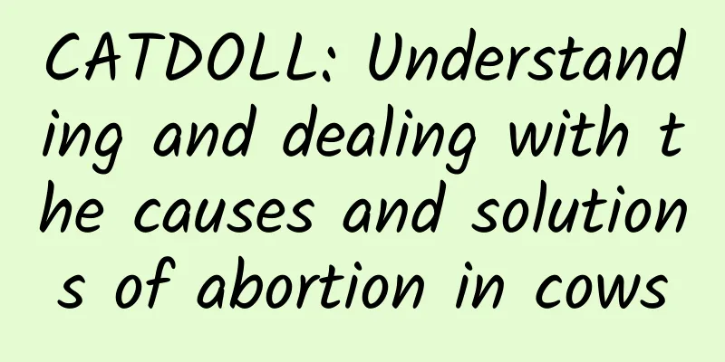 CATDOLL: Understanding and dealing with the causes and solutions of abortion in cows