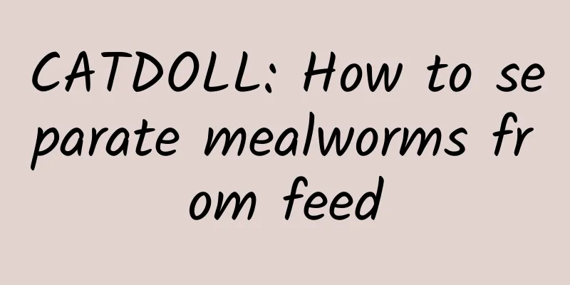 CATDOLL: How to separate mealworms from feed
