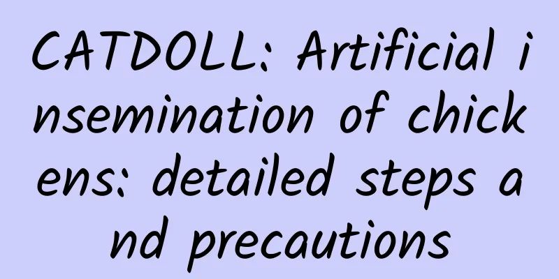 CATDOLL: Artificial insemination of chickens: detailed steps and precautions