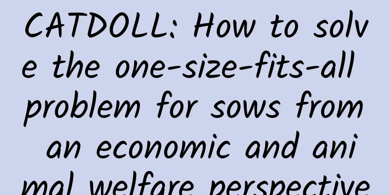 CATDOLL: How to solve the one-size-fits-all problem for sows from an economic and animal welfare perspective