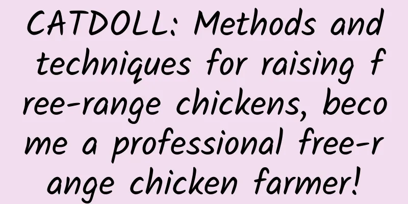 CATDOLL: Methods and techniques for raising free-range chickens, become a professional free-range chicken farmer!
