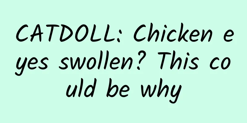 CATDOLL: Chicken eyes swollen? This could be why