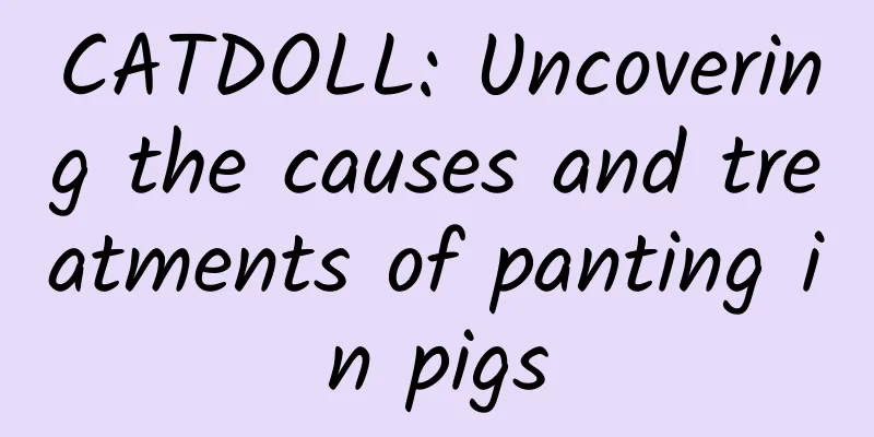 CATDOLL: Uncovering the causes and treatments of panting in pigs
