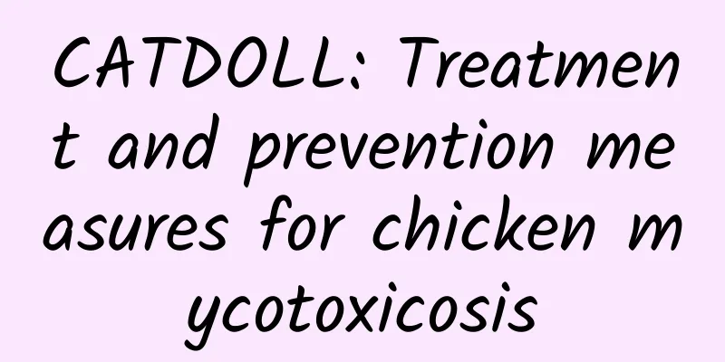 CATDOLL: Treatment and prevention measures for chicken mycotoxicosis