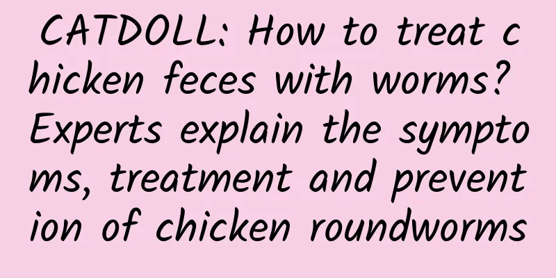 CATDOLL: How to treat chicken feces with worms? Experts explain the symptoms, treatment and prevention of chicken roundworms