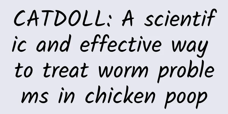 CATDOLL: A scientific and effective way to treat worm problems in chicken poop