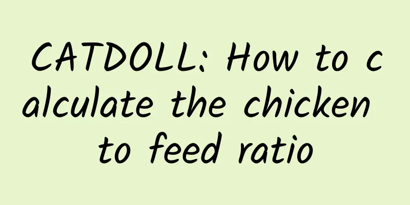 CATDOLL: How to calculate the chicken to feed ratio